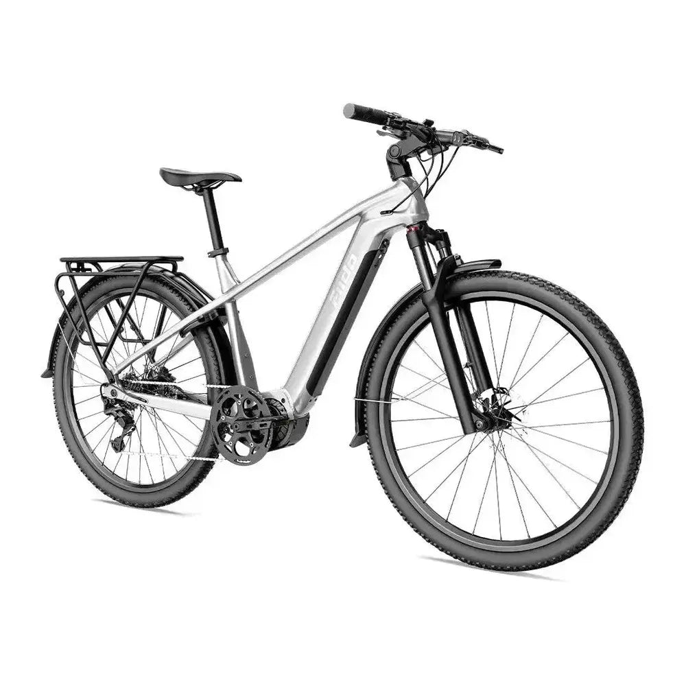 Fiido Nomads Pro - Gris