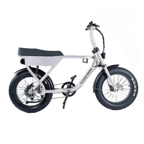 Grandeux - Fatbike - Xplore - Gris