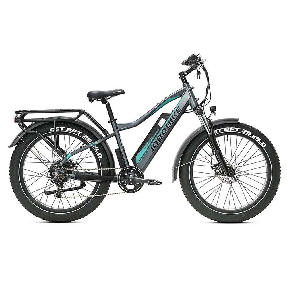 JOBOBIKE Robin - Gris/Vert