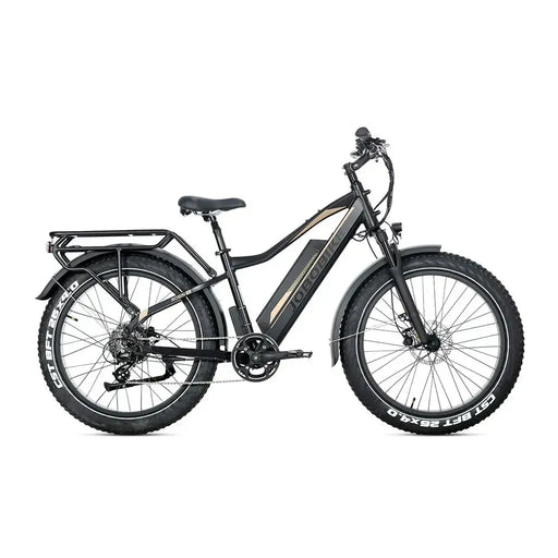 JOBOBIKE Robin Pro - Noir-or