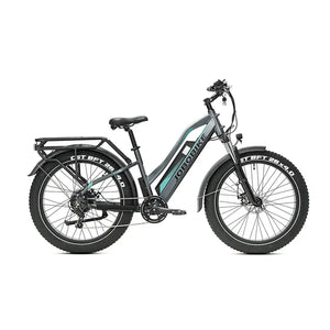 JOBOBIKE Robin ST - Gris-Vert