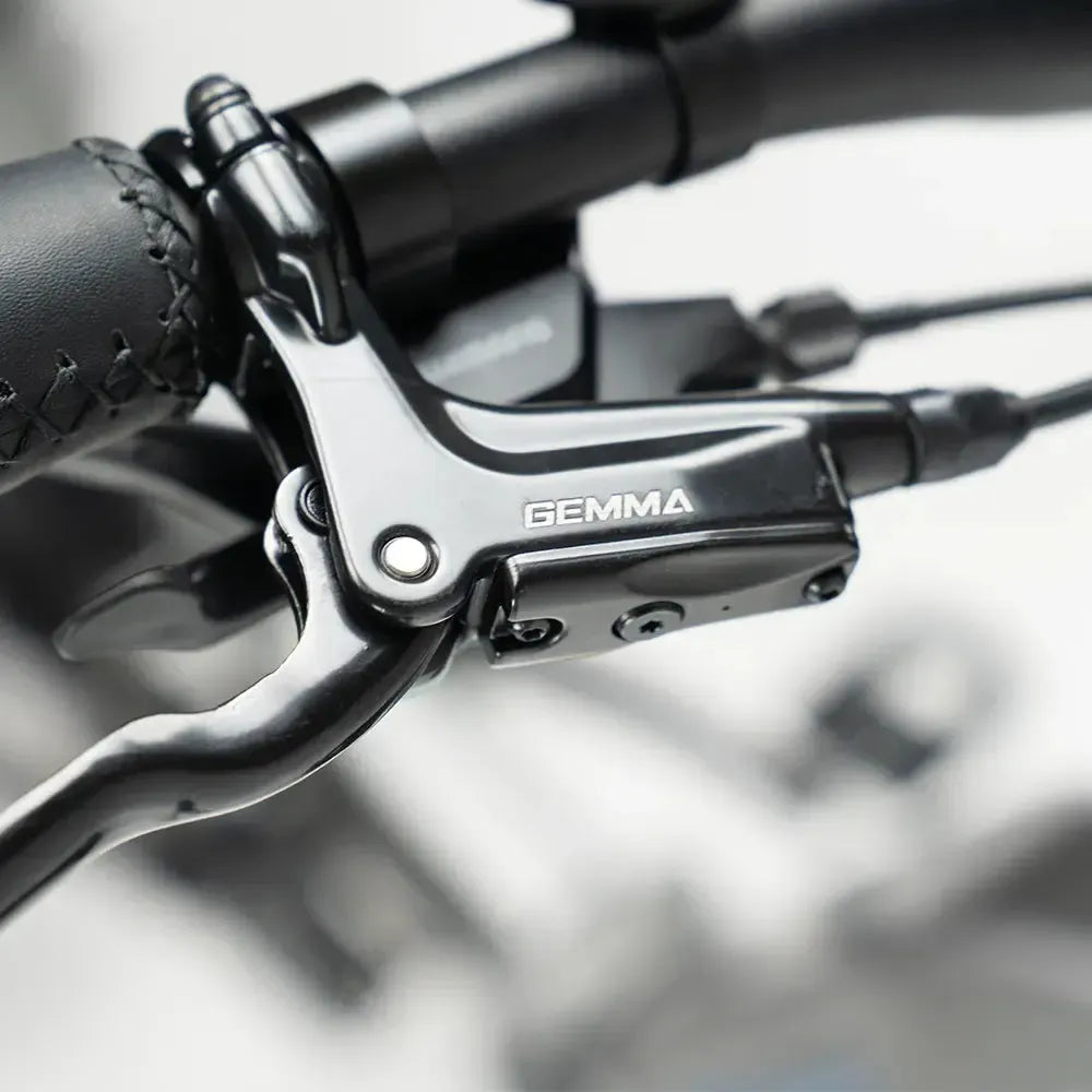 JOBOBIKE Romer Pro - Gris