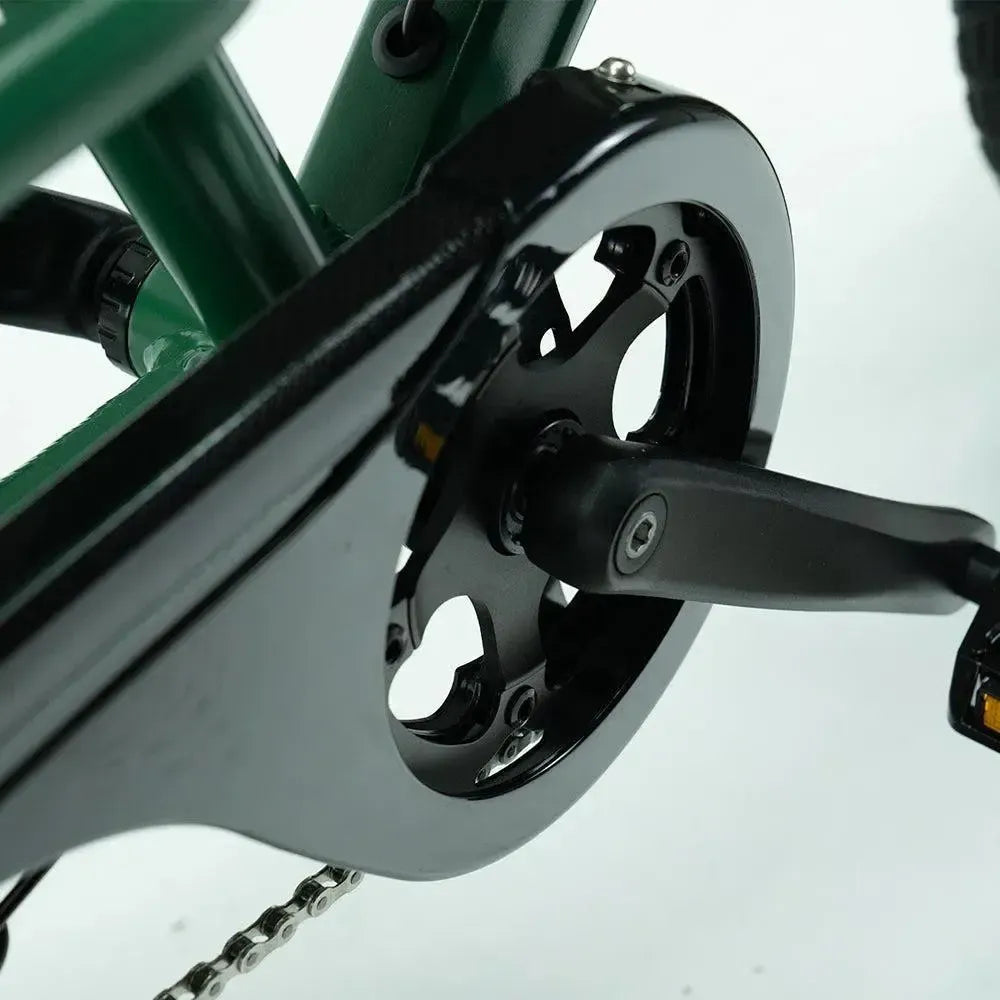 JOBOBIKE Transer - Longtail - Vert