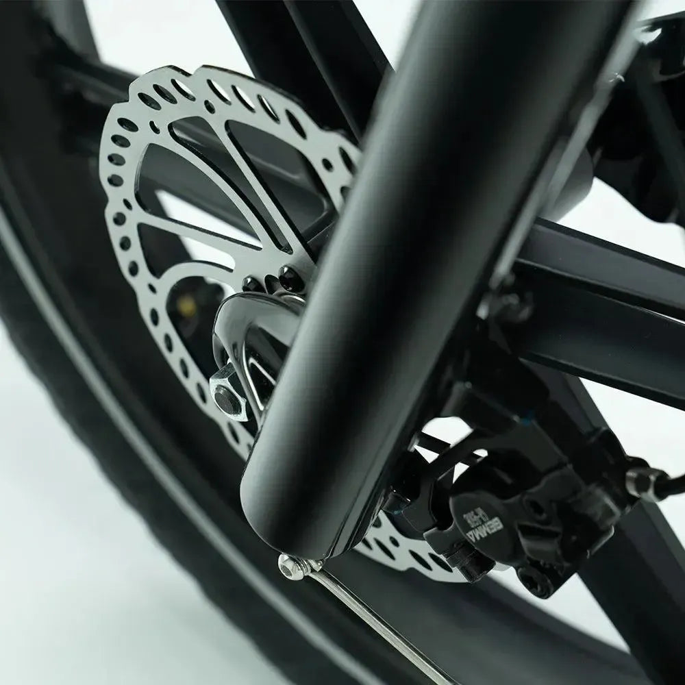 JOBOBIKE Transer - Longtail - Vert