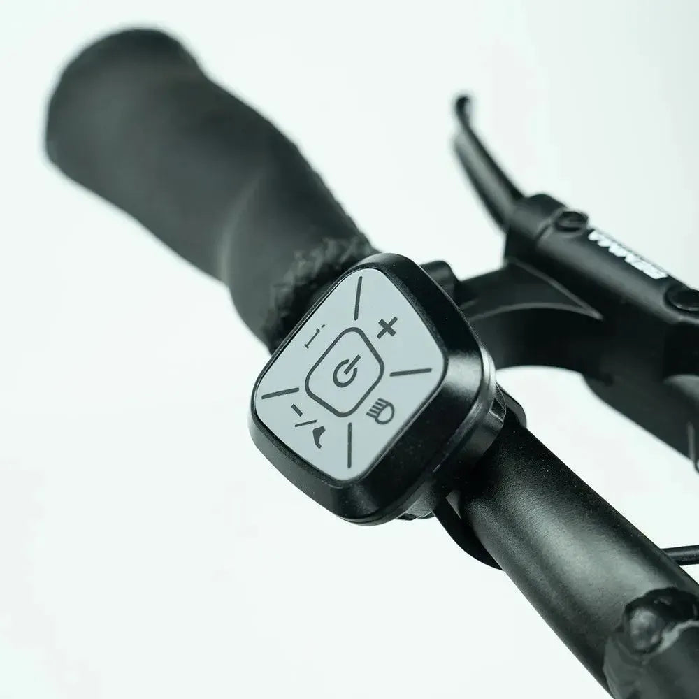 JOBOBIKE Transer - Longtail - Gris argenté