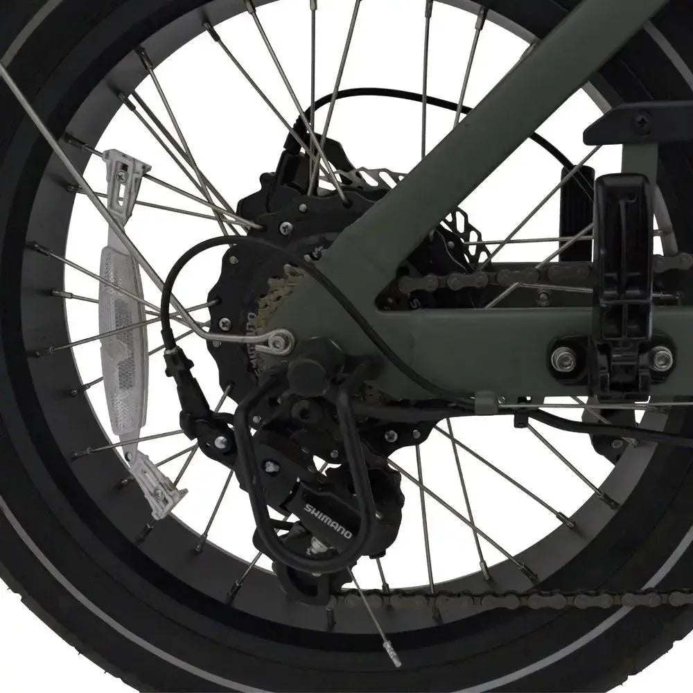 Knaap - Fatbike - BCN - Vert