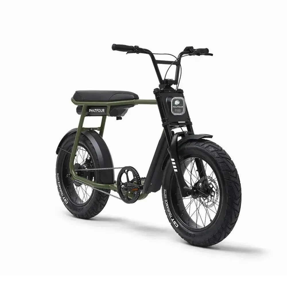 Phatfour FLX - Fatbike - Vert