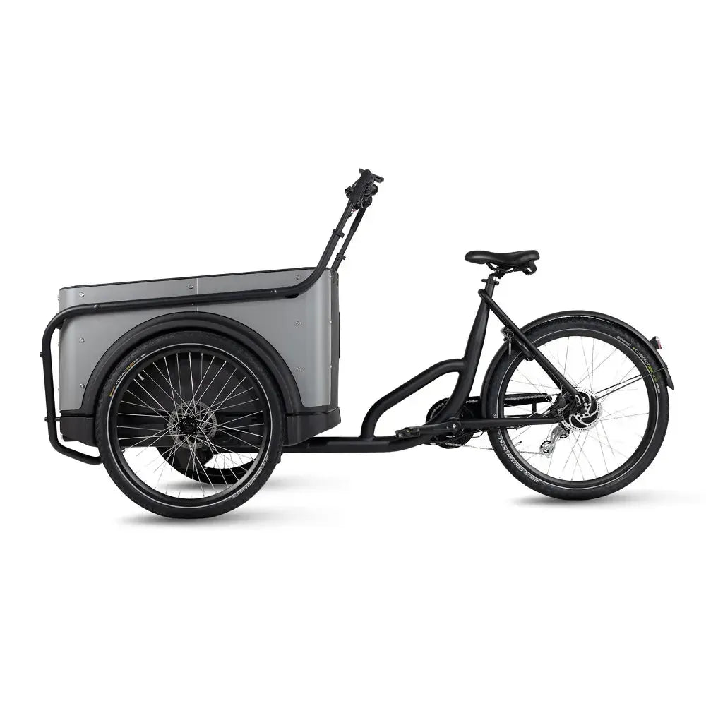 Royal Cargo Bike 3W Eco - Gris