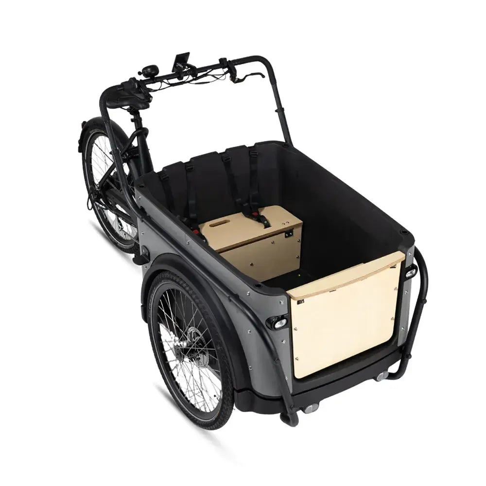 Royal Cargo Bike 3W Eco - Gris