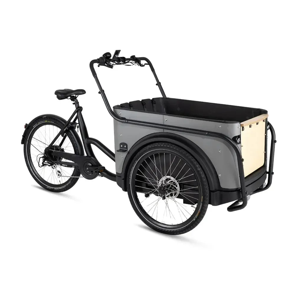 Royal Cargo Bike 3W Eco - Gris