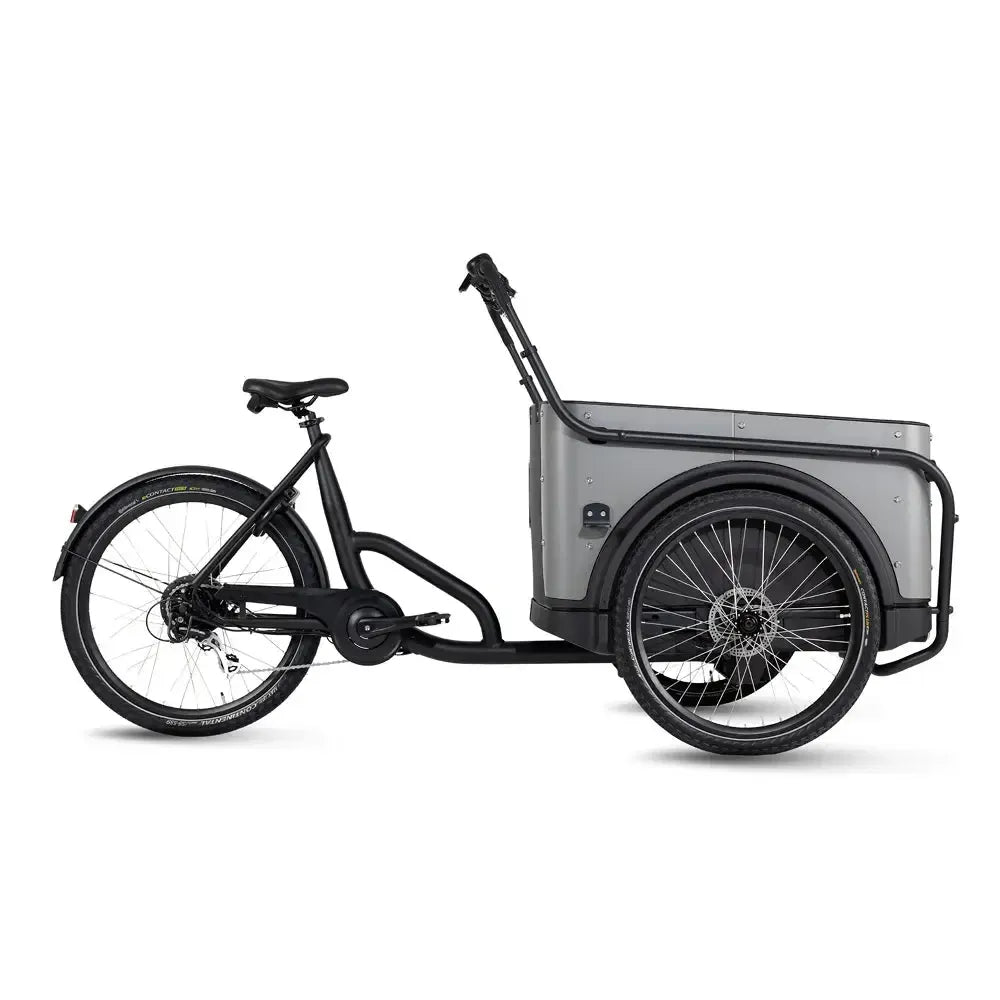 Royal Cargo Bike 3W Eco - Gris