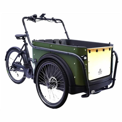 Royal Cargo Bike 3W Eco - Vert