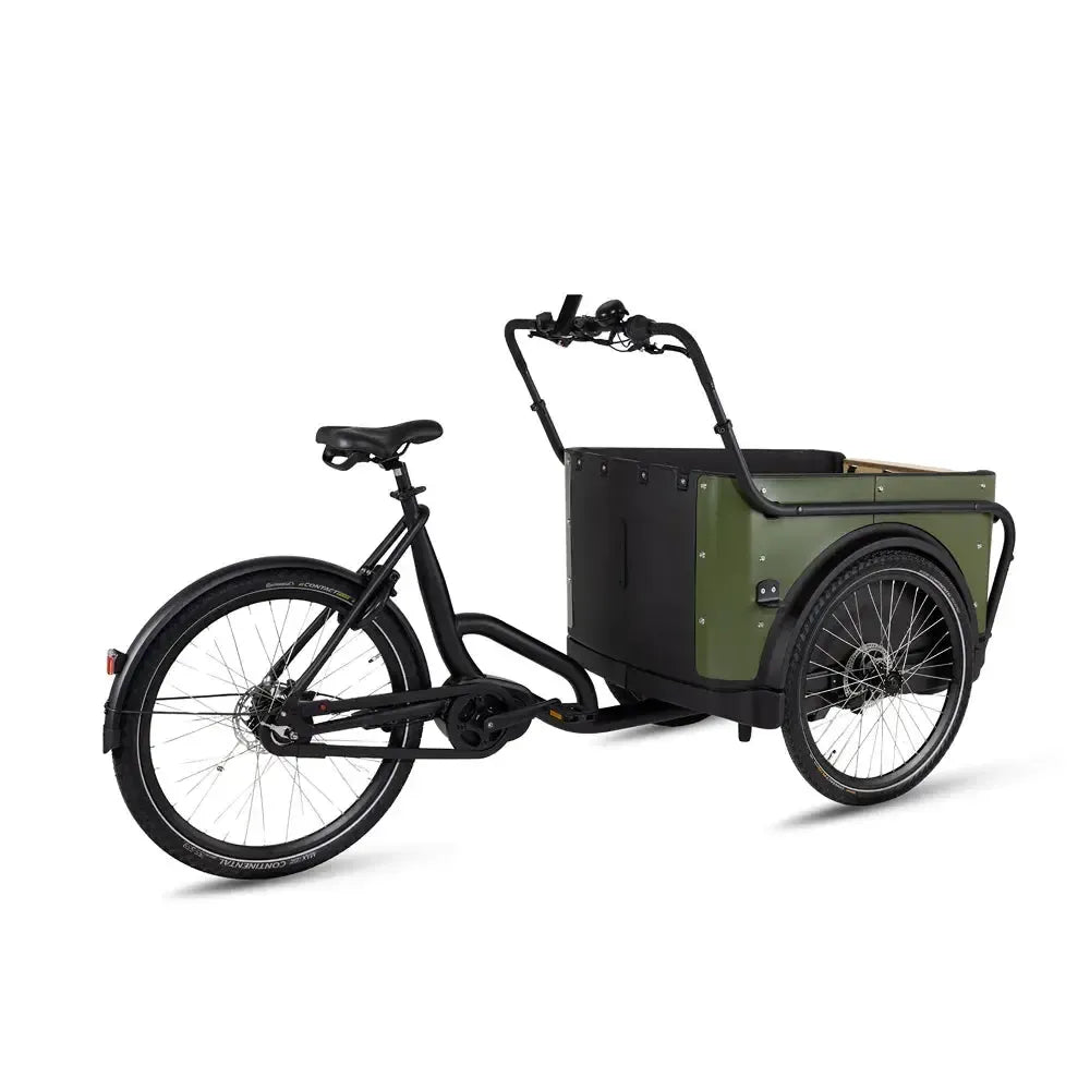 Royal Cargo Bike 3W Premium - Vert