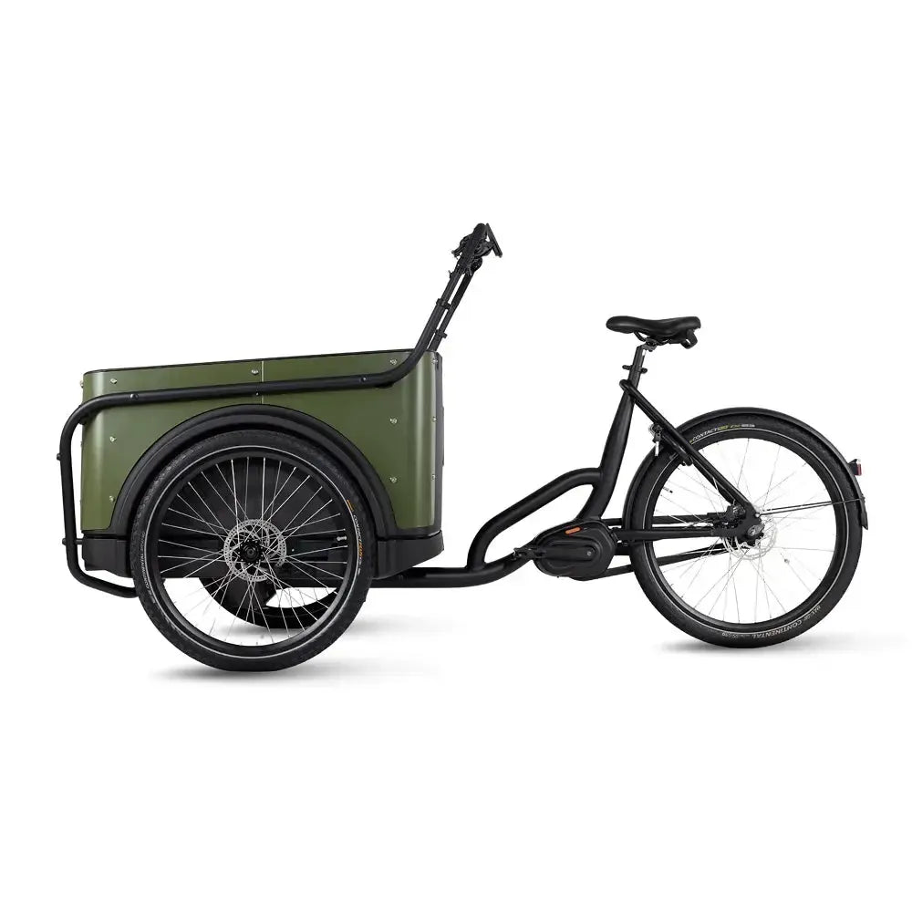 Royal Cargo Bike 3W Premium - Vert