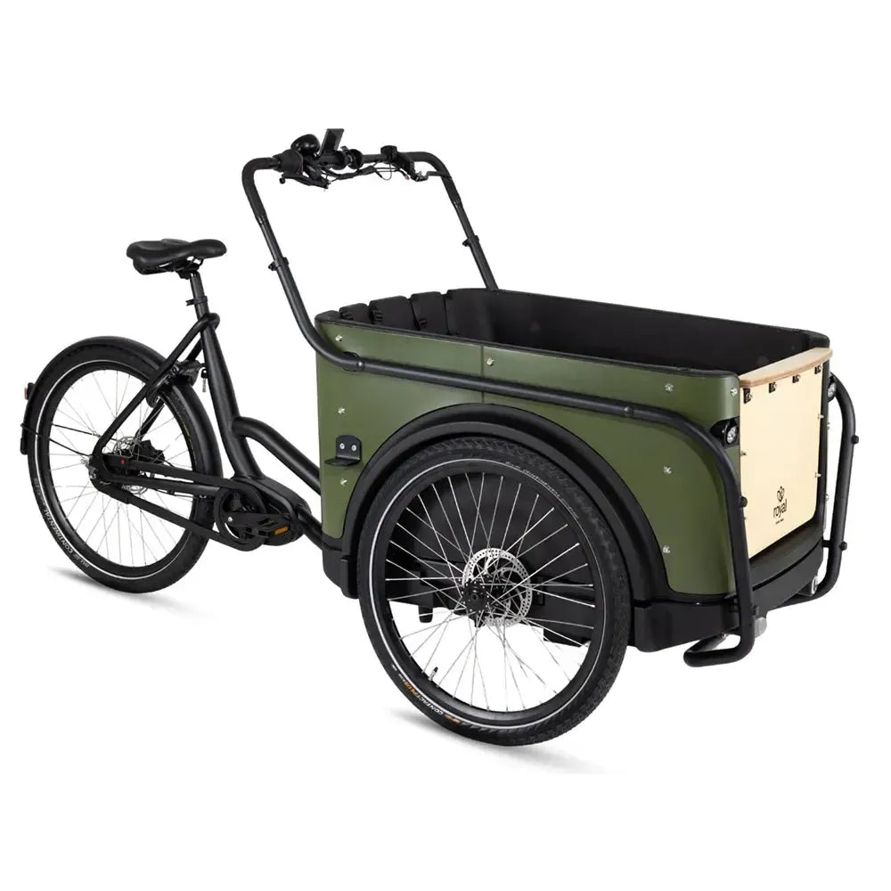 Royal Cargo Bike 3W Premium - Vert