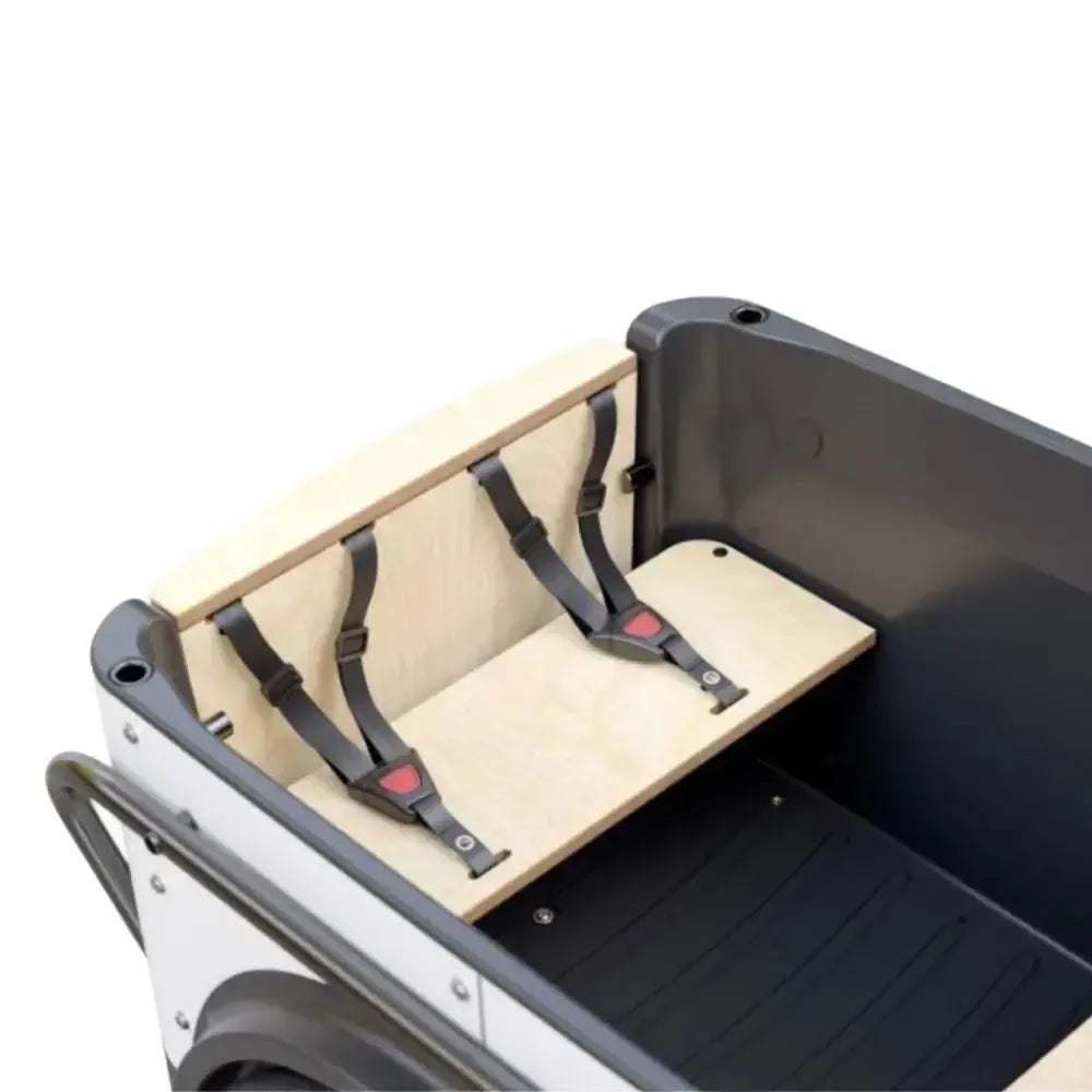 Royal Cargo Bike 3W Premium Plus - Anthracite
