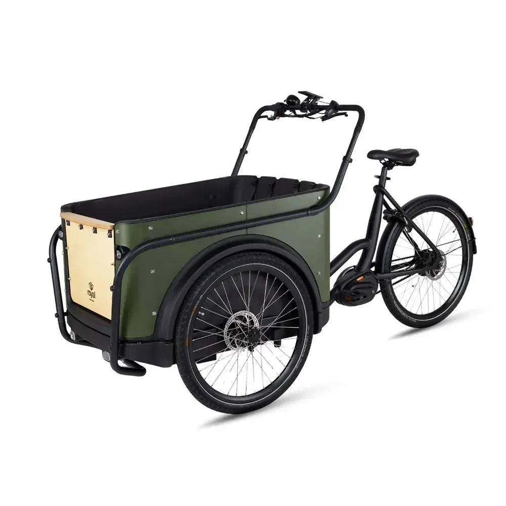 Royal Cargo Bike 3W Premium Plus - Vert