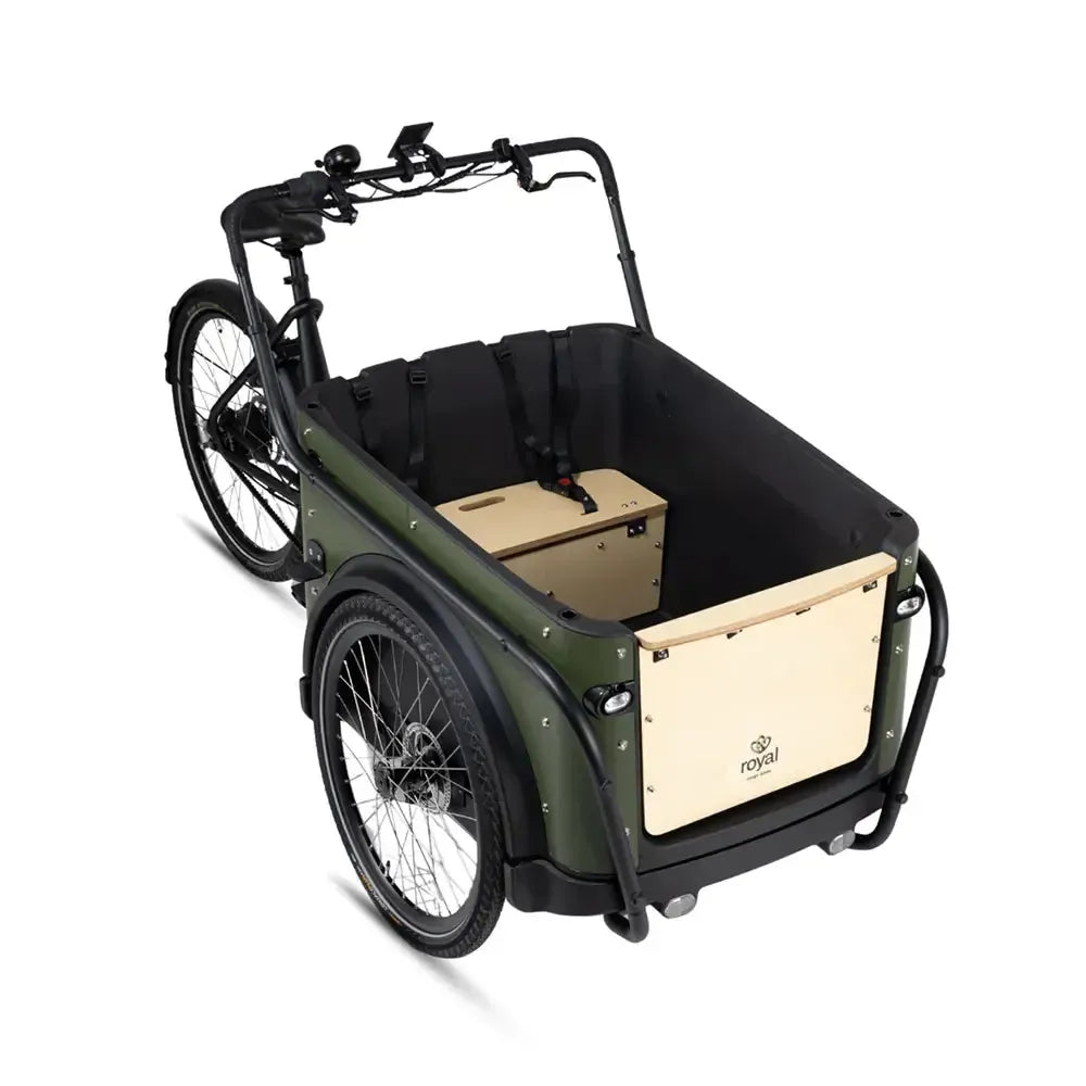 Royal Cargo Bike 3W Premium Plus - Vert