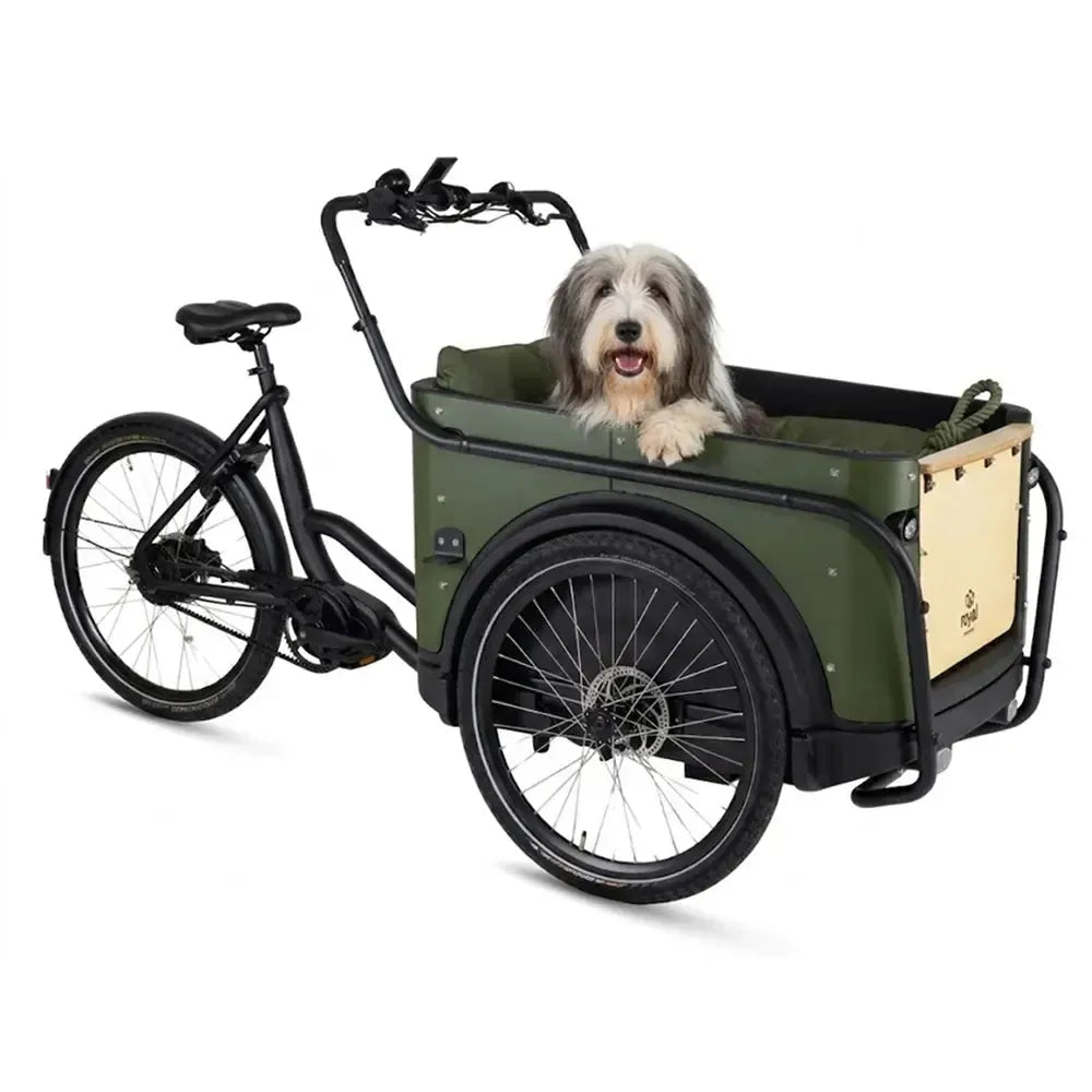 Royal Cargo Bike 3W Premium Plus - Vert