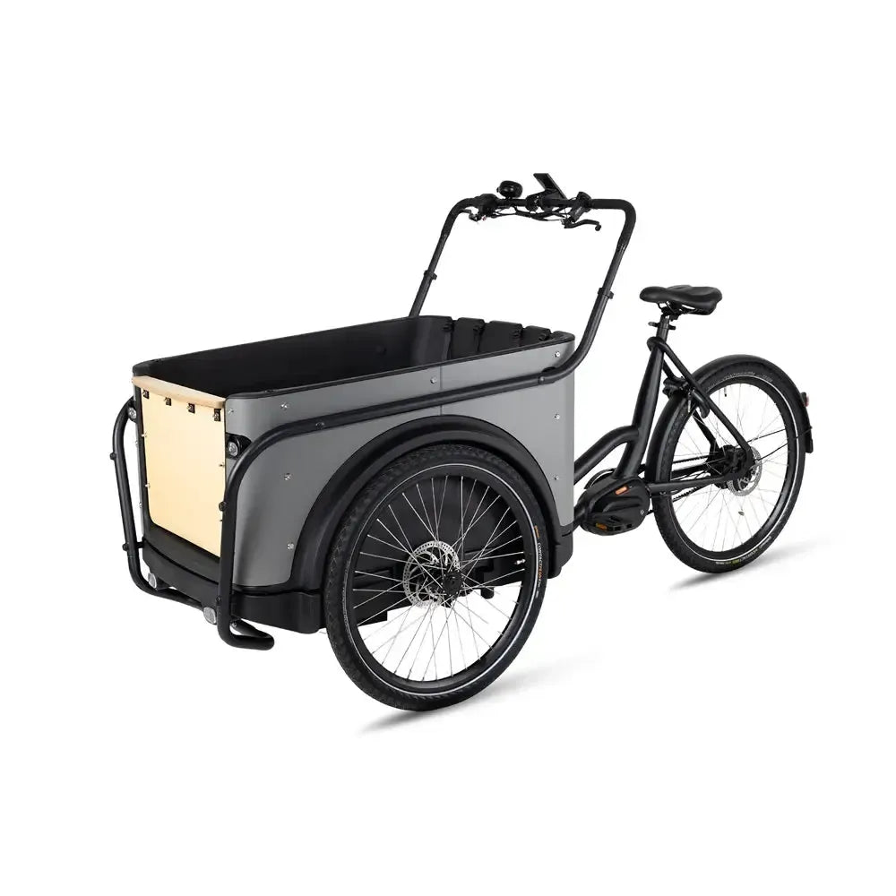Royal Cargo Bike 3W Premium Plus - Taupe gris
