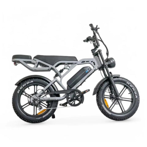 V20 Pro 5.0 Gris - Vélo tout terrain à gros pneus - Freins hydrauliques