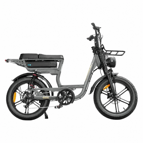 V20 Comfort - Gris