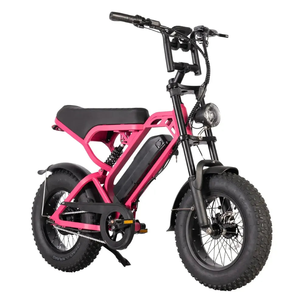 V20 Mini - Rose - Fatbike