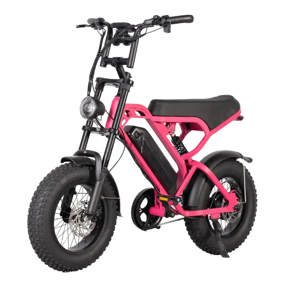 V20 Mini - Rose - Fatbike