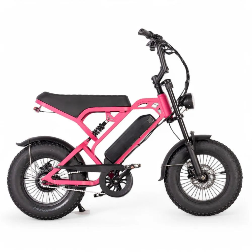 V20 Mini - Rose - Fatbike