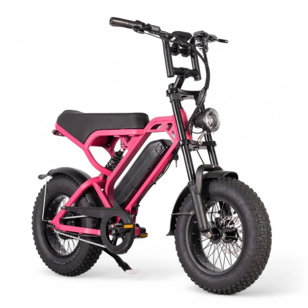 V20 Mini - Rose - Fatbike