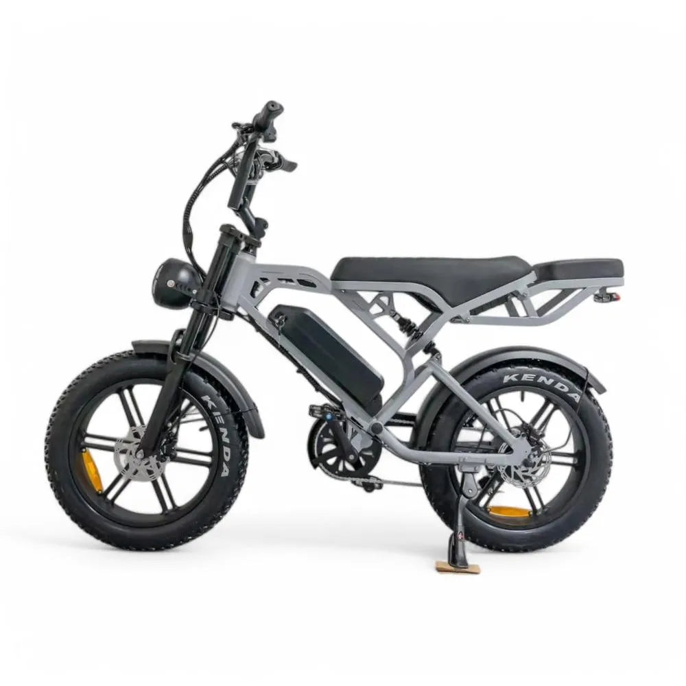 V20 Pro 5.0 Gris - Fatbike - Freins hydrauliques
