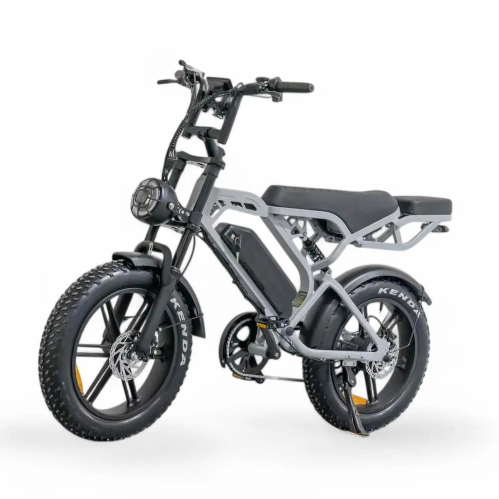 V20 Pro 5.0 Gris - Fatbike - Freins hydrauliques
