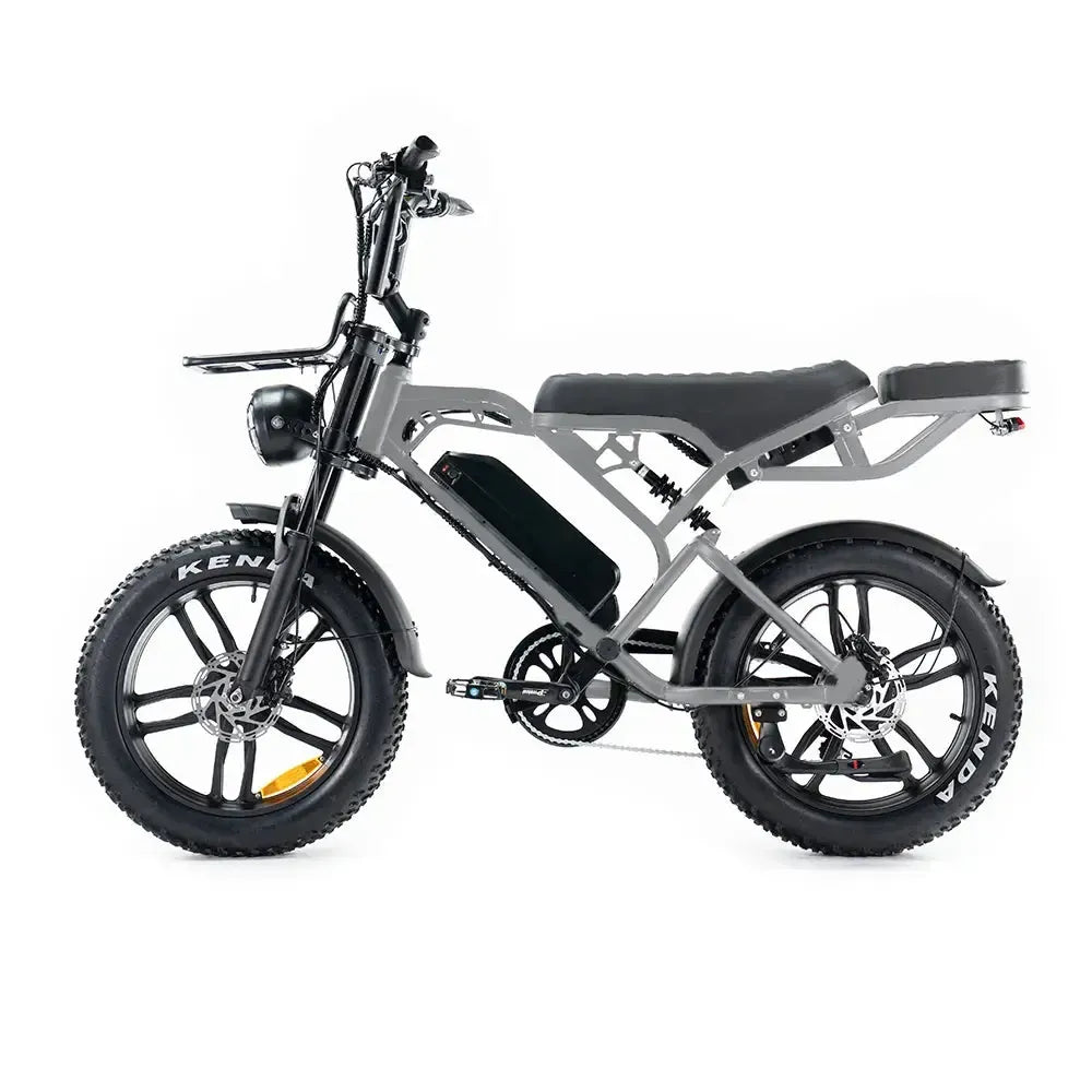 V20 Pro 5.0 Gris - Fatbike - Freins hydrauliques