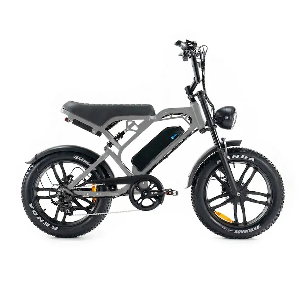 V20 Pro 5.0 Gris - Fatbike - Freins hydrauliques
