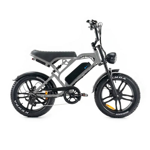 V20 Pro 5.0 Gris - Fatbike - Freins hydrauliques