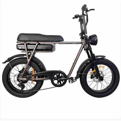 EB2 – Vélo tout-terrain à gros pneus – Café